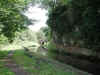 Dscn7264.jpg (112234 bytes)