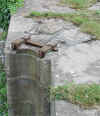 Dscn1761.jpg (122394 bytes)