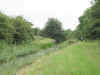 Dscn1769.jpg (91391 bytes)