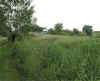 Dscn1784.jpg (101645 bytes)